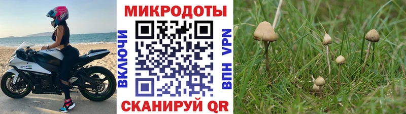 Псилоцибиновые грибы ЛСД  Циолковский 
